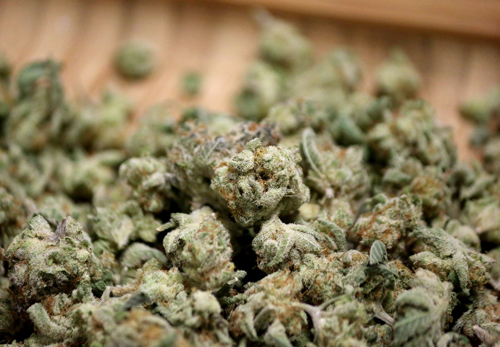 Strain Feature Orange Rind Tokém Cannabis