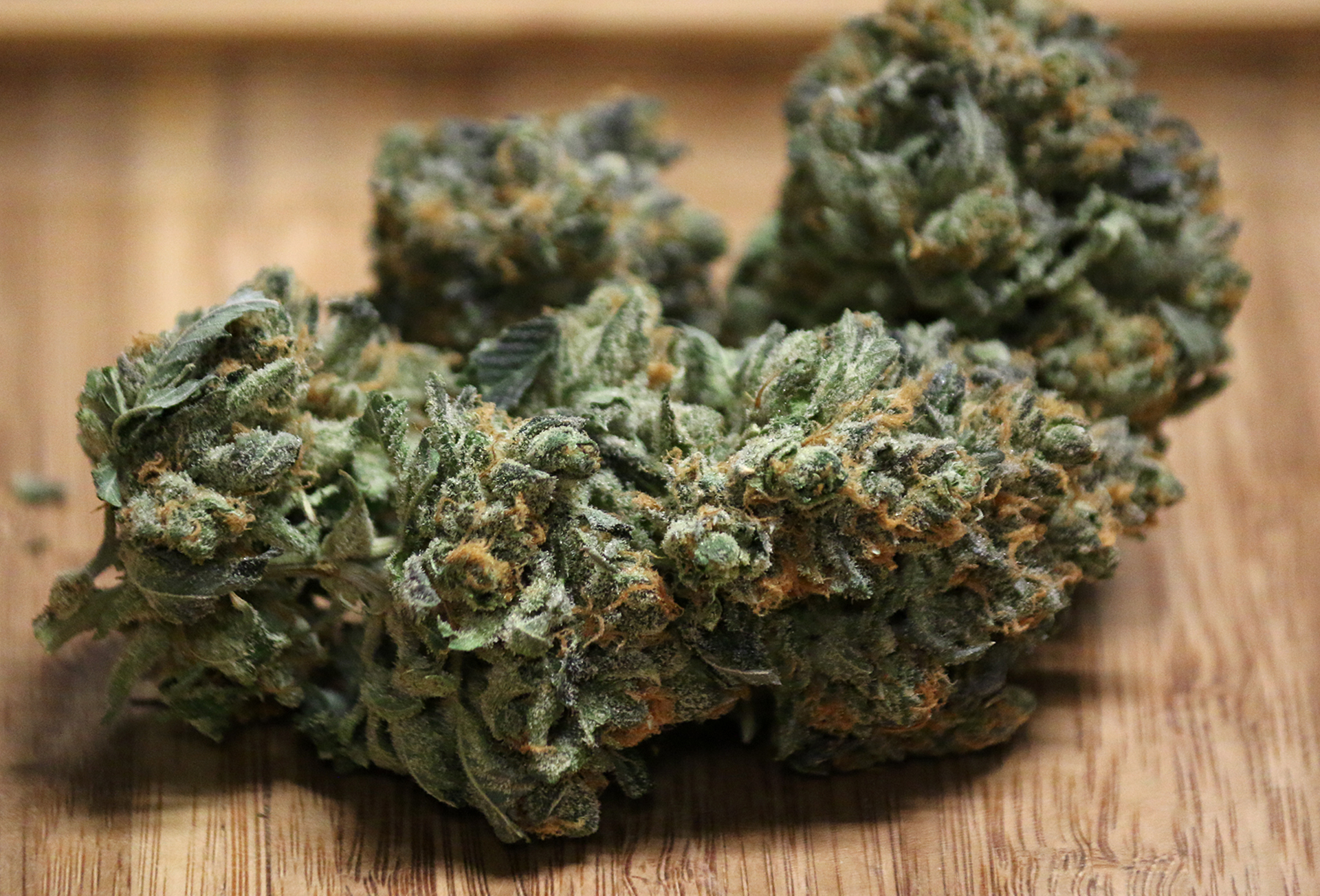 Strain Feature Key Lime Pie Tokém Cannabis